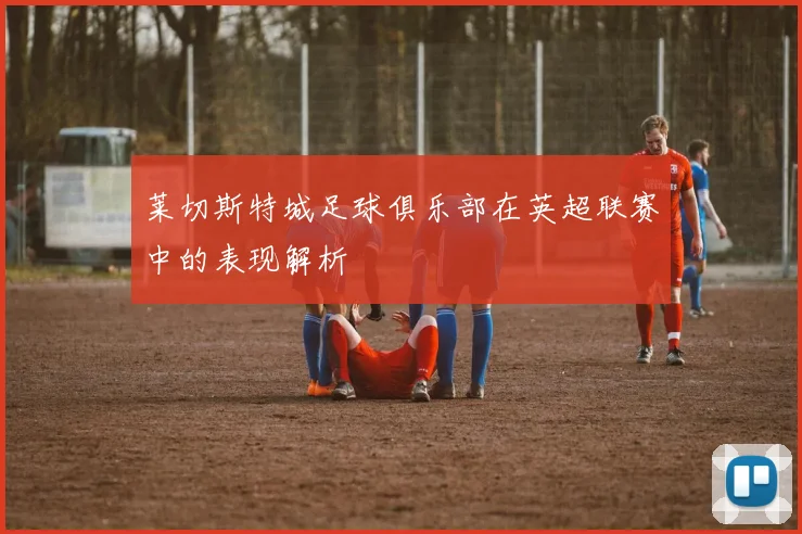 莱切斯特城足球俱乐部在英超联赛中的表现解析